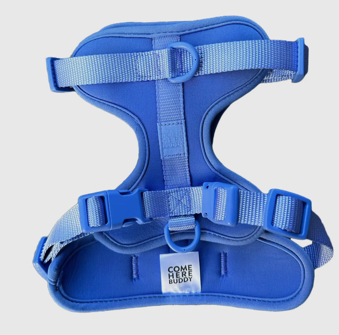 Dog Harness