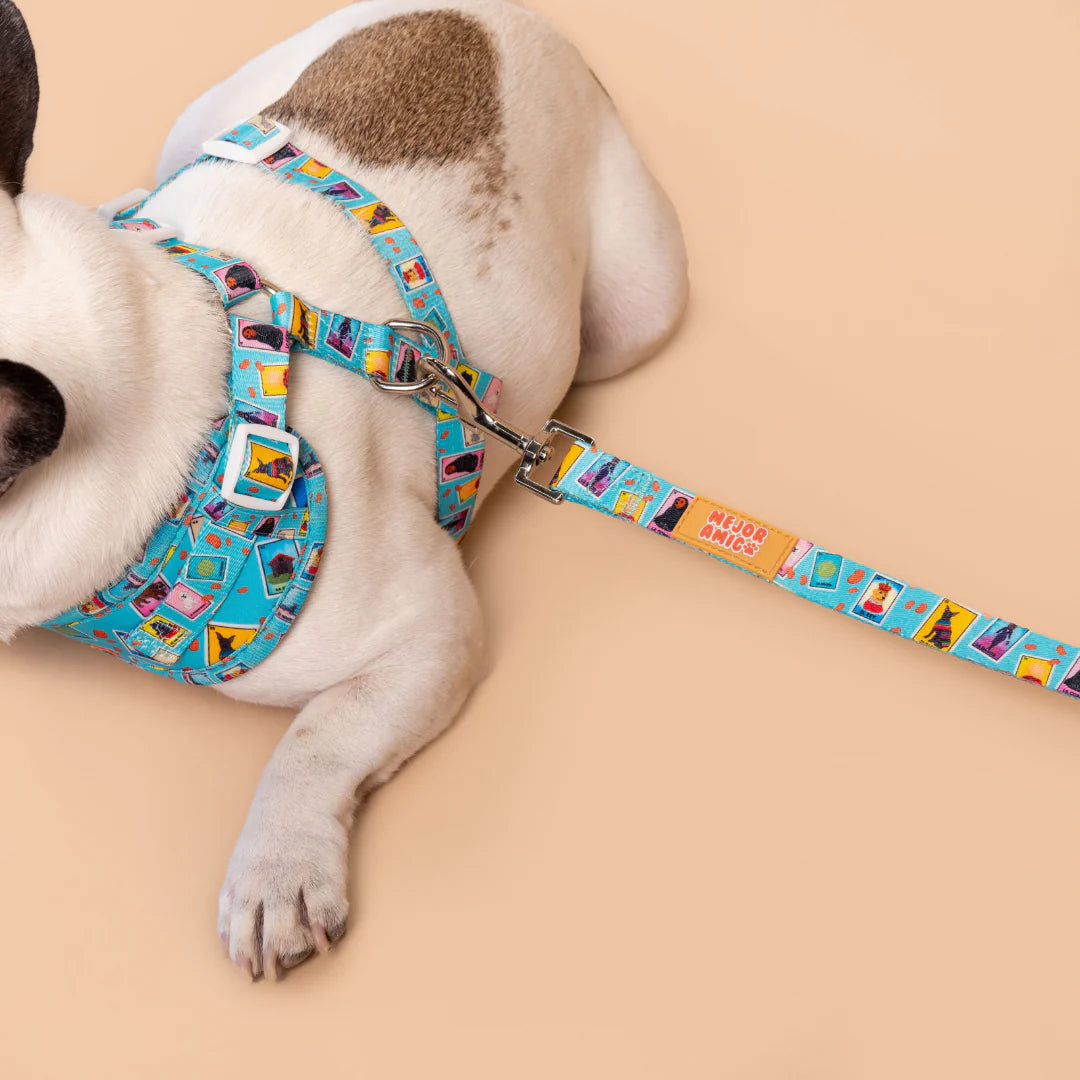 Dog Lotería Leash