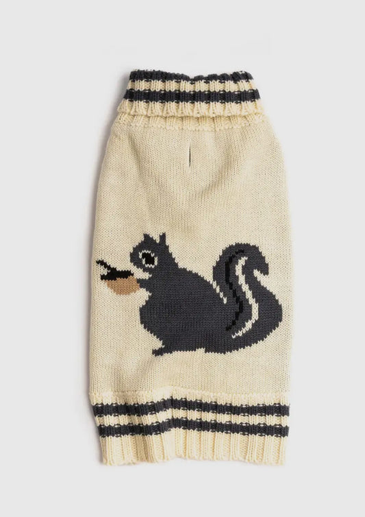 Squirrel Dog Sweater