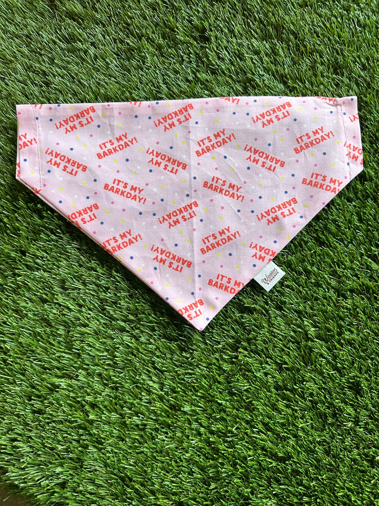 Barkday Bandana - Pink