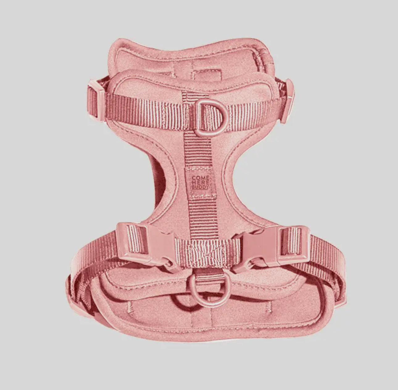Dog Harness