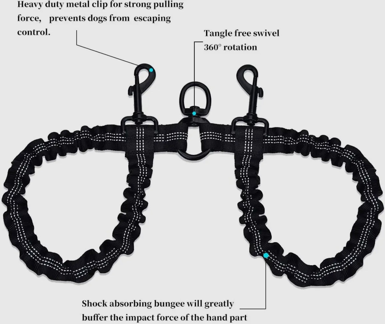 Dual Bungee Leash