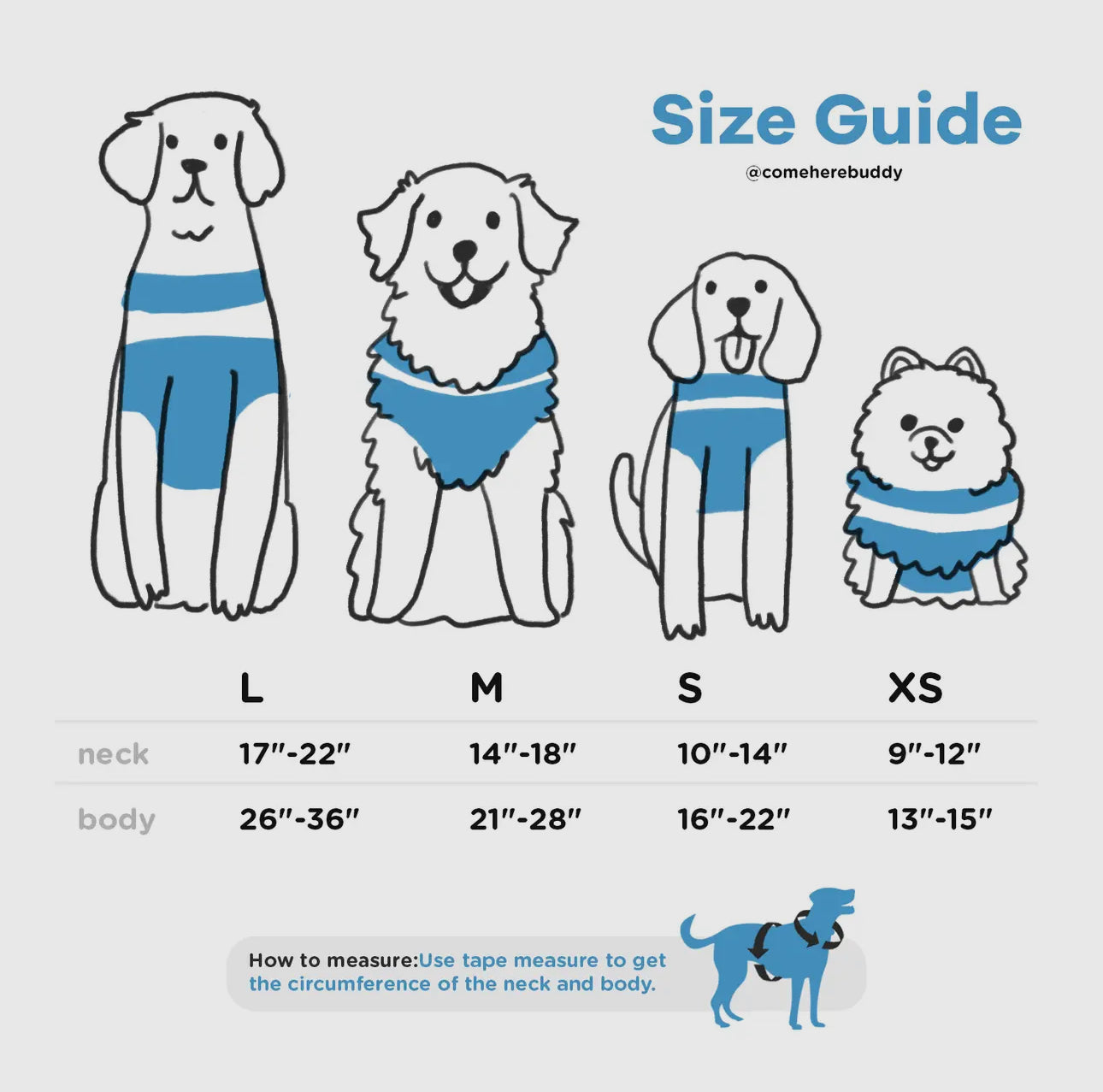 Dog Harness
