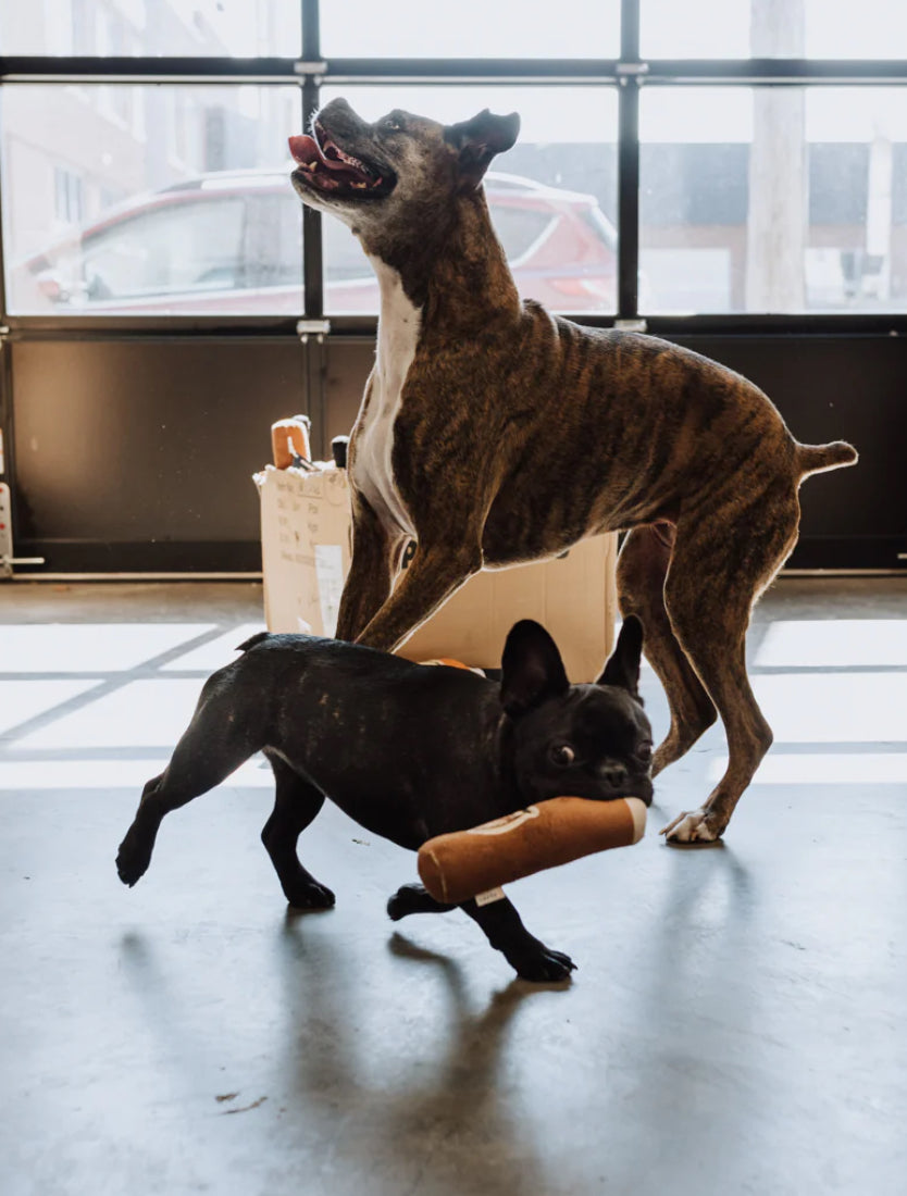 Pappy Cigar Plush Dog Toy