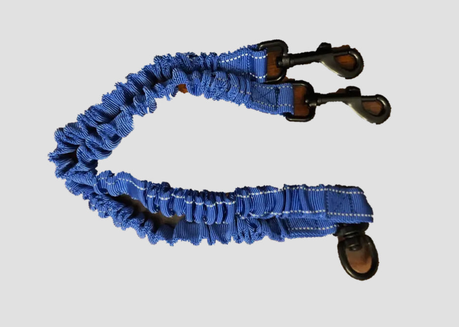 Dual Bungee Leash