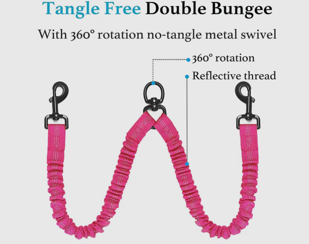 Dual Bungee Leash