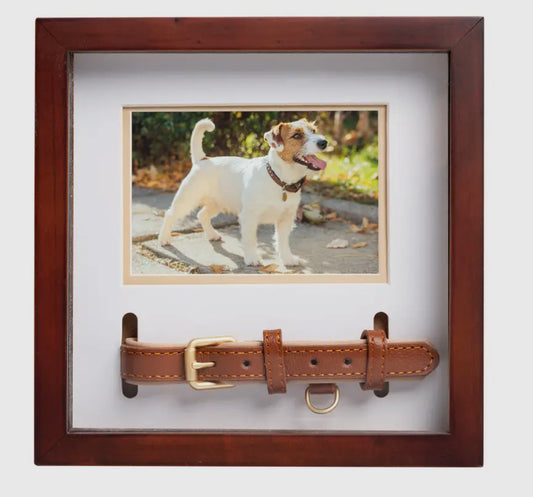 Pet Collar and Photo Frame