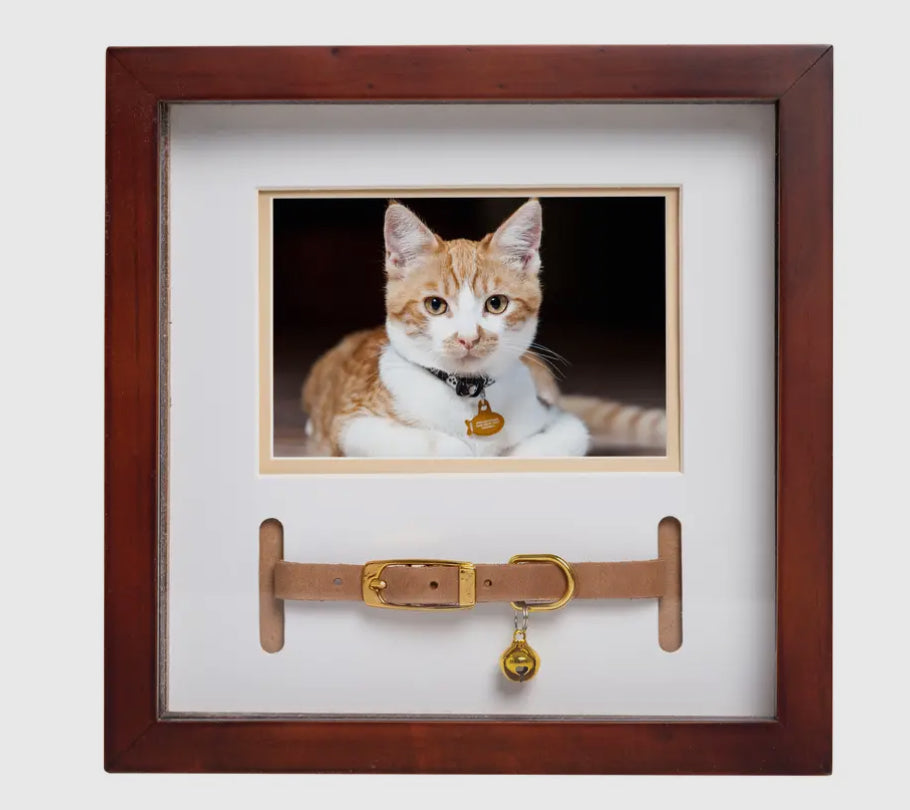 Pet Collar and Photo Frame