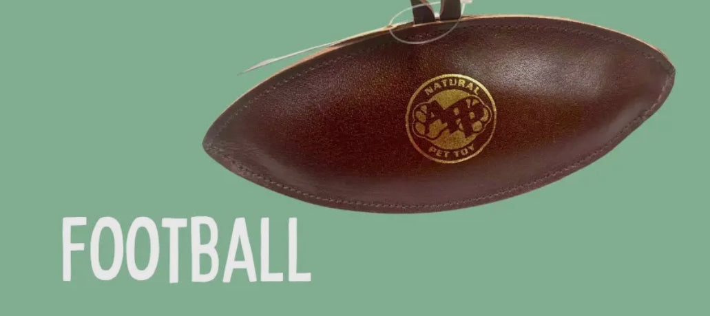 Football Leather Toy