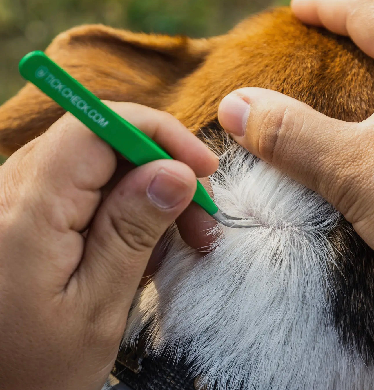 Tick Removal Kit