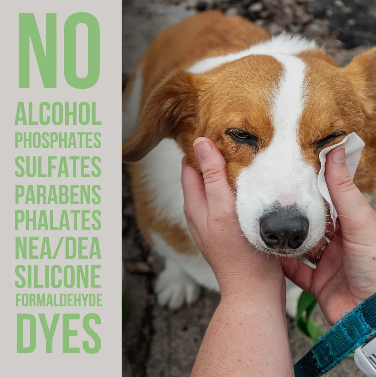 The Only Eye Tear Stain Remover