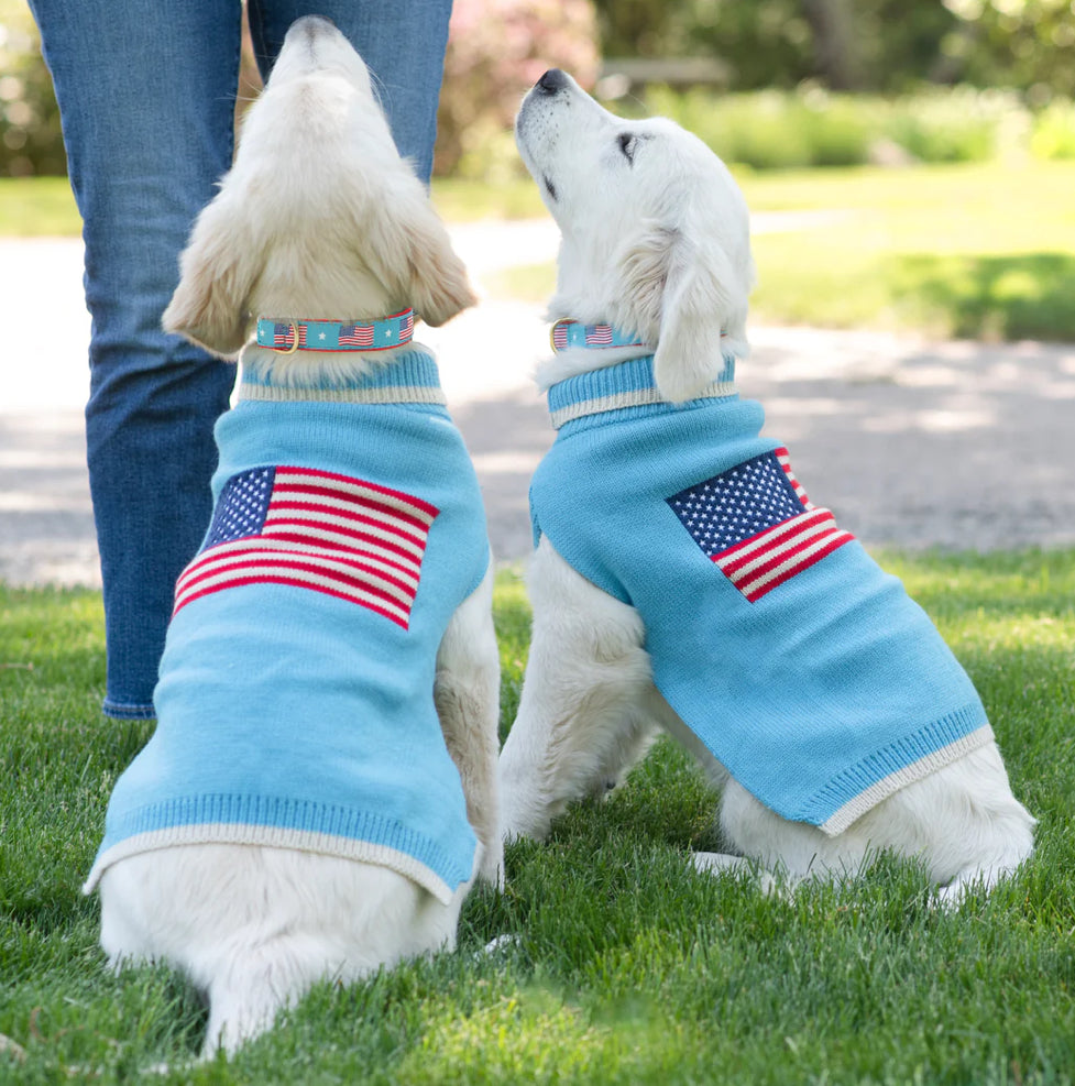 Flag Day Sweater