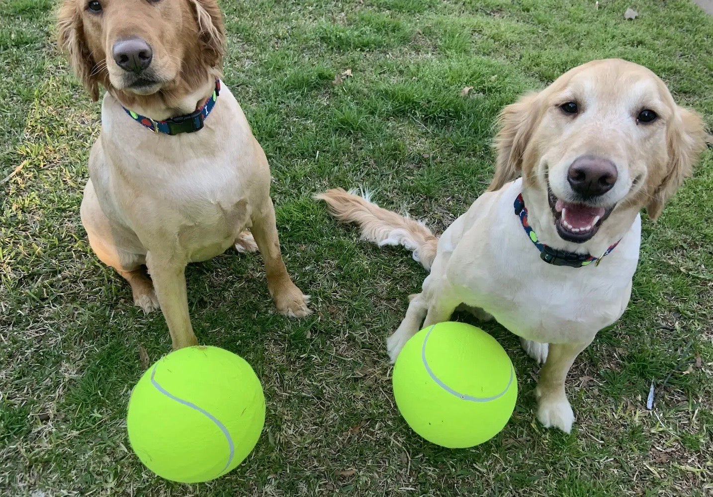 Jumbo Tennis Ball
