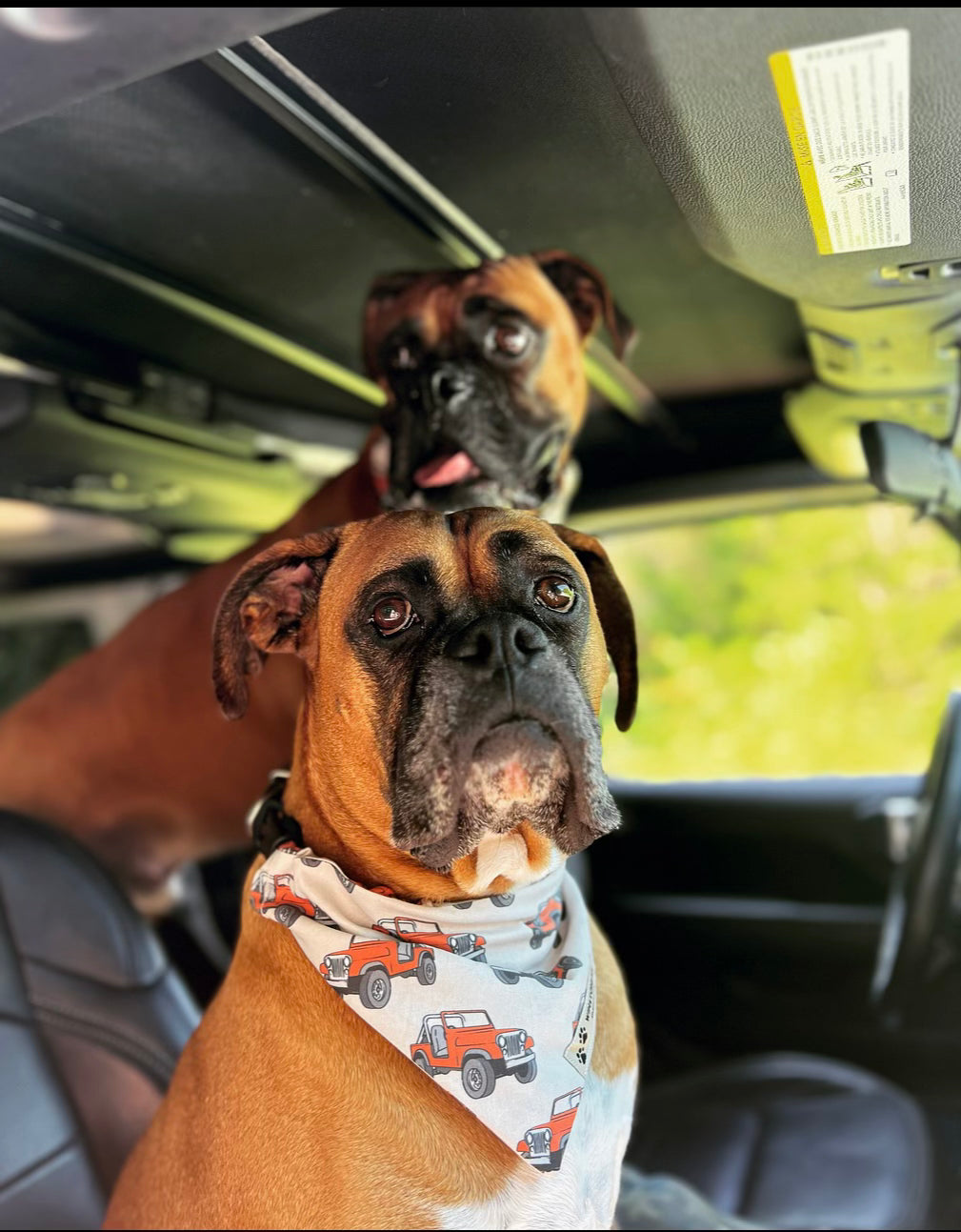 Vintage Jeep Slip-On Bandana