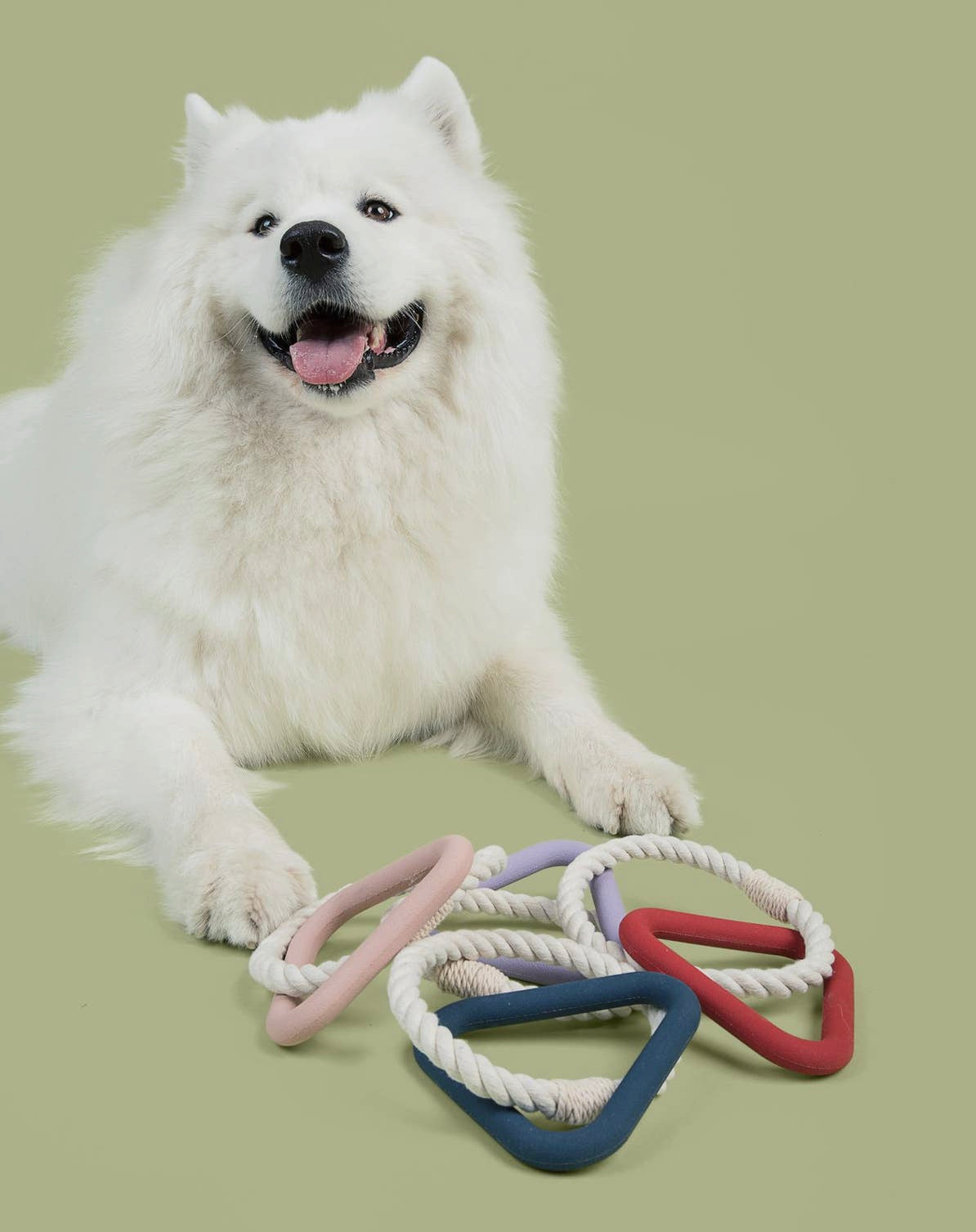 Triangle Toy