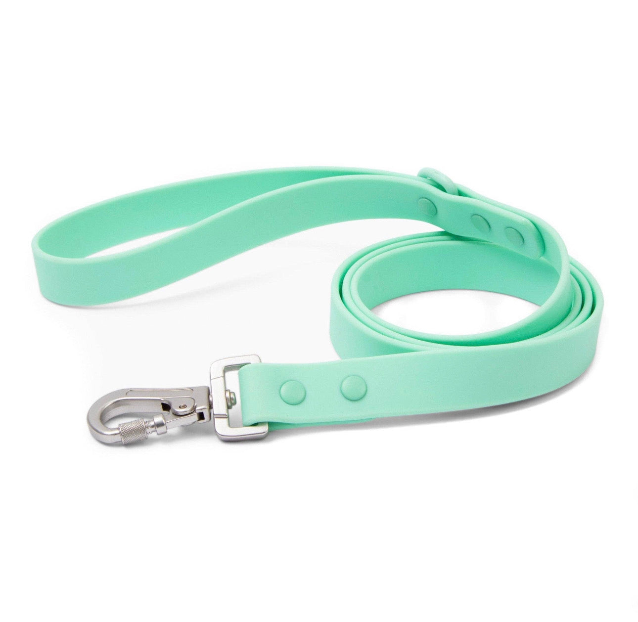 Mint Everyday PVC Leash