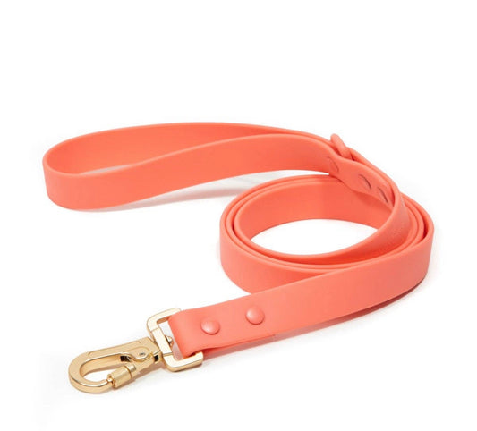 Coral Everyday PVC Leash