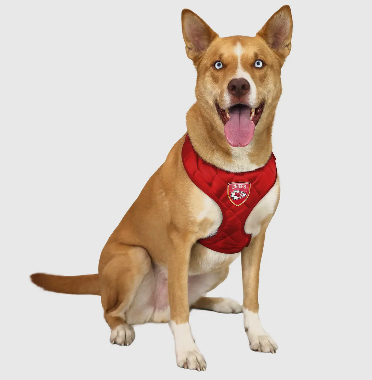 NFL Kansas City Chiefs Pet Harness
